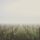 Tel_a_szolobirtokon_1532823_5288_t