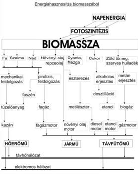 Biomassza