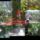 Haller_park_mombasa_similar_tropical_rainforest_climate_1535130_1466_t