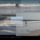 Seagullsnyali_beach__mombasa_12_2019_1535353_8466_t