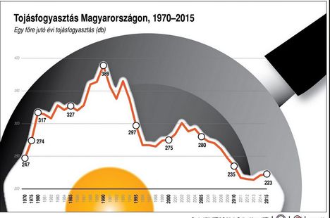 Tojásfogyasztás