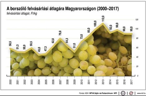 Borszőlő ára 2000-2017