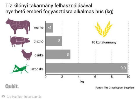 Takarmányhasznosulás