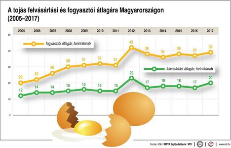 Tojás átlagár