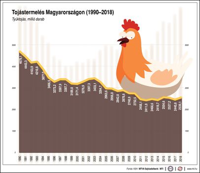 Tojástermelés