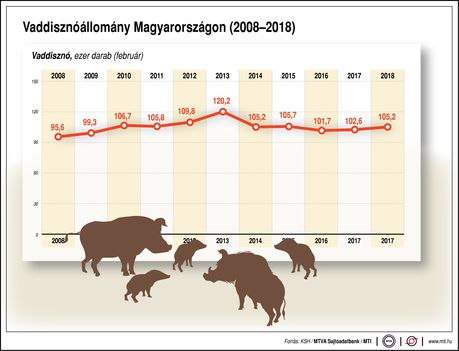 Vaddisznó állomány