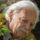 Balint_g100_1545710_1357_t