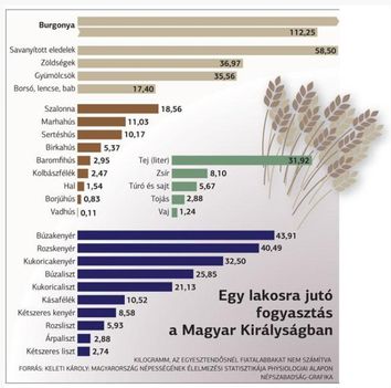 Fogyasztás a múltban