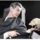 Gabor_miklos_1545005_5014_t