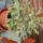 God_2_1545865_5895_t