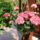 God_3-001_1545866_7362_t