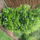 God_3_1545860_9561_t