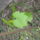 God_6-001_1545869_6048_t