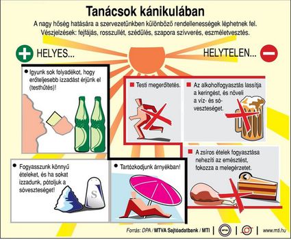 Kánikulai tanácsok