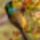 Jo_reggelt_szep_uj_hetet-001_1546312_3302_t