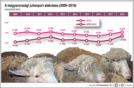 Juhexport