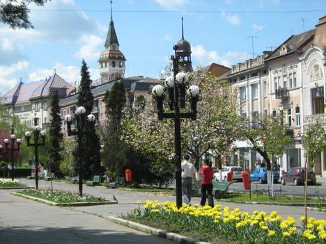 rózsák tere