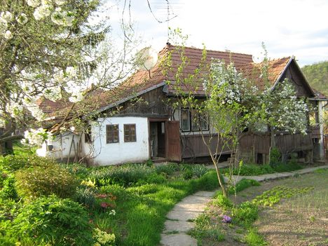 székelyház