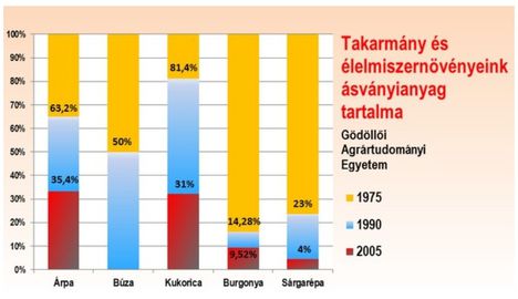 Ásványianyag tartalom