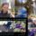 Blue_waterlily_flowerheviz_030421_t_1551797_8092_t
