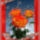 Szeretettel_kuldom-003_1551848_4883_t