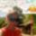 And_run_t_1552404_6030_t
