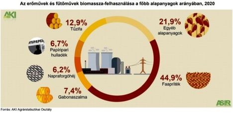 Biomassza