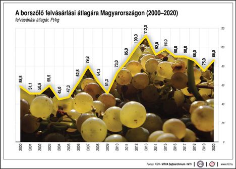 Borszőlő felvásárlási ár