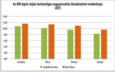 IKR búzakísérlet