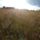Img_20210513_183855_1_1552030_5854_t