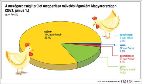 Mezőgazdasági terület