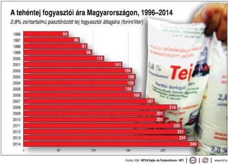 Tejár 1996-2014