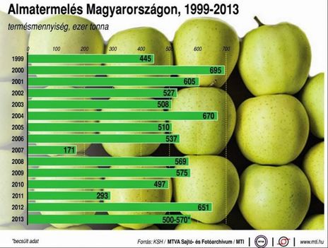 Almatermelés 1999-2013