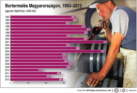 Bortermelés 1993-2013