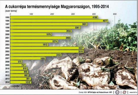 Cukorrépa termés 1995-2014