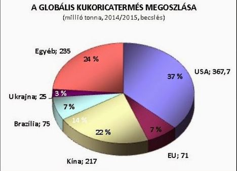 Globális kukoricatermés