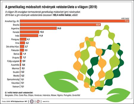GM növények