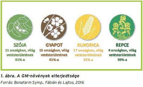 GMO.