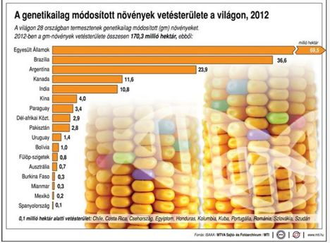 GMO 2012