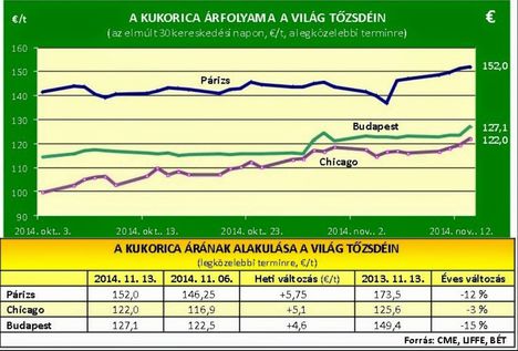 Kukorica-tőzsde