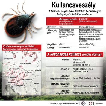 Kullancsveszély
