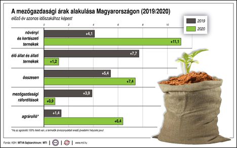 Mg. árak20