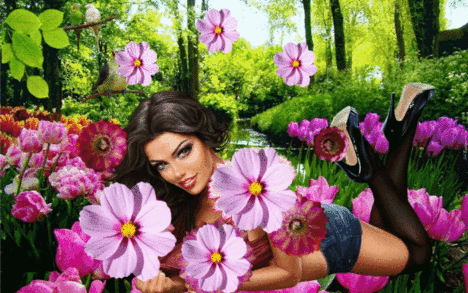 oie-overlay (2)