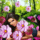 Oieoverlay_2_1553258_6787_t