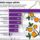 Palinka-005_1553863_2507_t