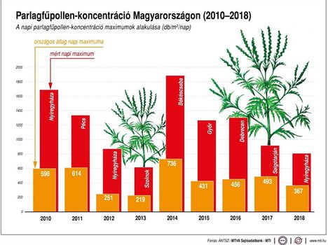 Parlagfűpollen-koncentráció