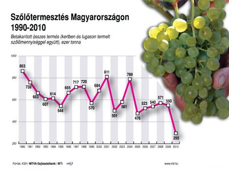 Szőlőtermesztés 1990-2010
