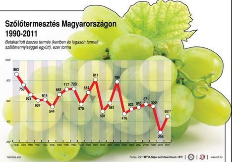 Szőlőtermesztés 1990-2011