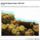 Szoloterulet_19902018_1553445_1840_t