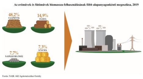 Biomassza felhasználás